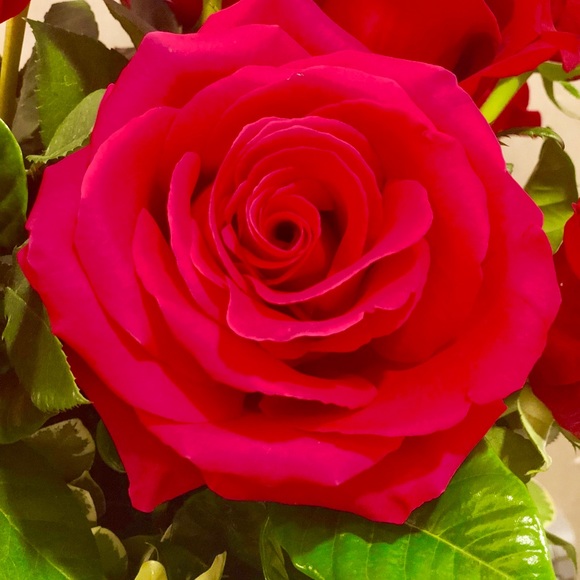 Meet your Posher, Ilana - Picture 1 of 1